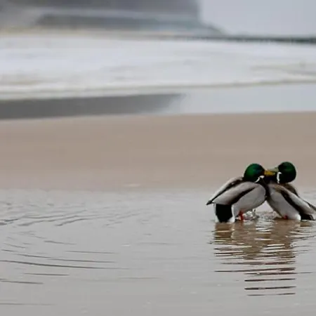 Chata Letniskowe Blue Sky 2