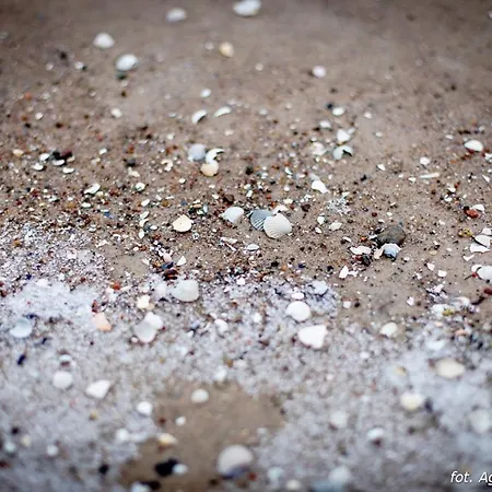 Letniskowe Blue Sky 2 *