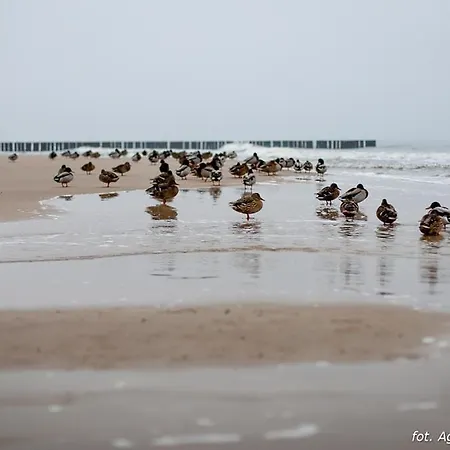 Letniskowe Blue Sky 2 * Rewal