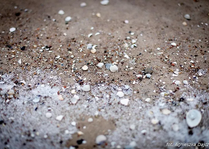 Letniskowe Blue Sky 2 *